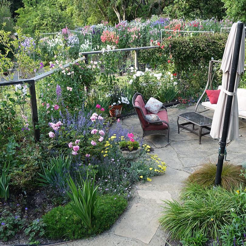 Growing a beautiful garden consultation