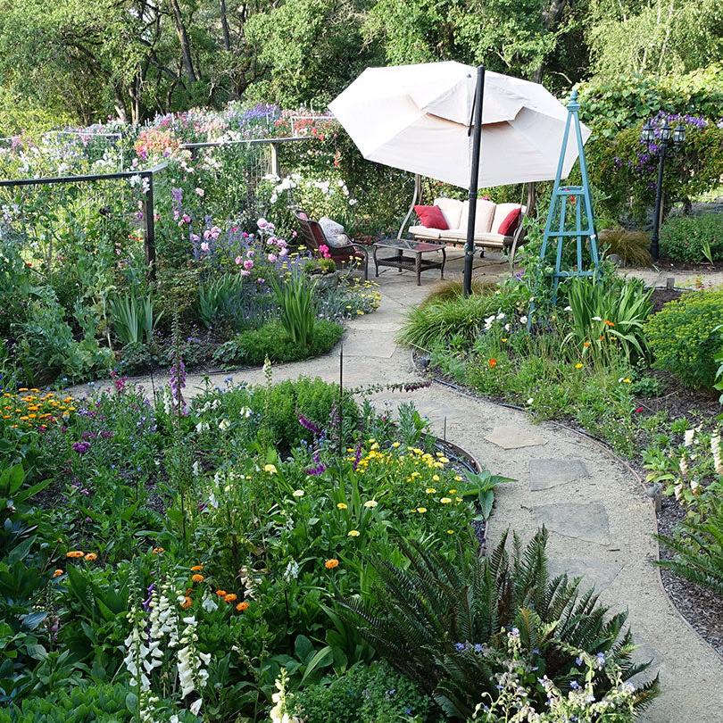 Growing a beautiful garden consultation