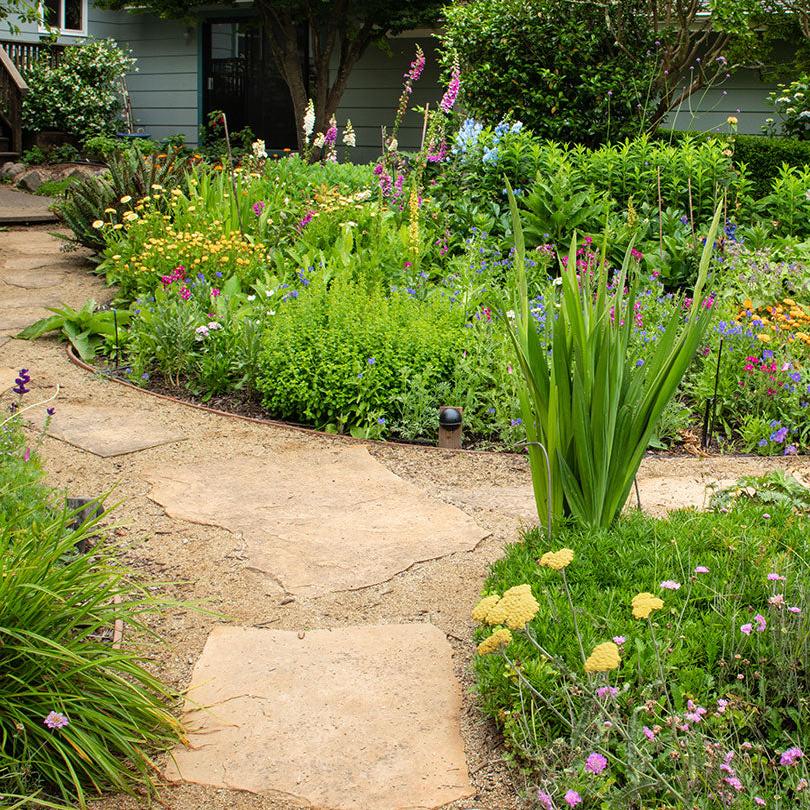 Growing a beautiful garden consultation