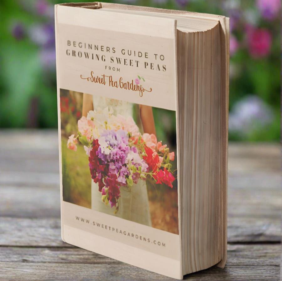 sweet pea seed planting instructions Beginners Guide to Growing Sweet Peas eBook