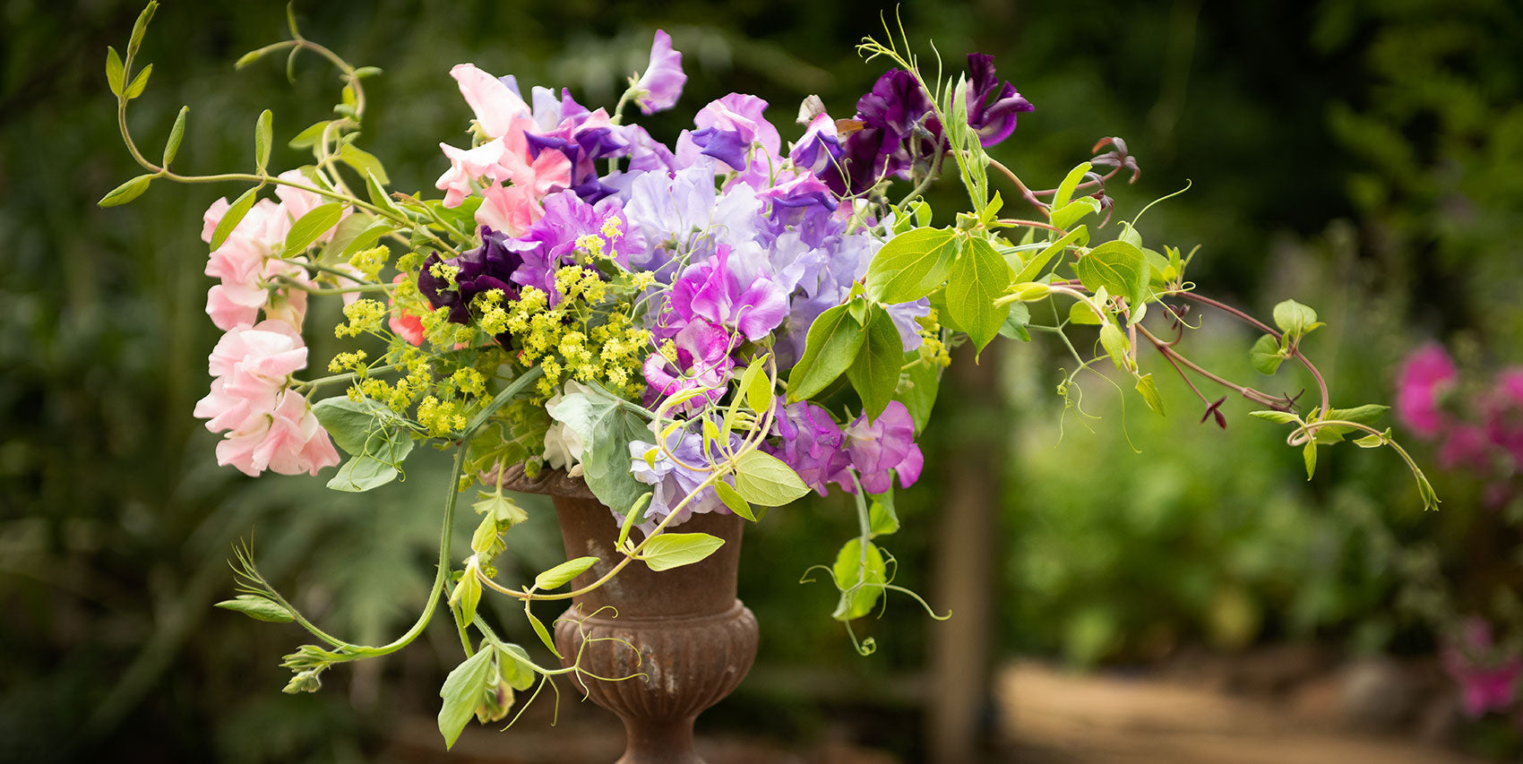 Sweet pea bouquet with companion flowers including roses, snapdragons, lady’s mantle, and ornamental grasses