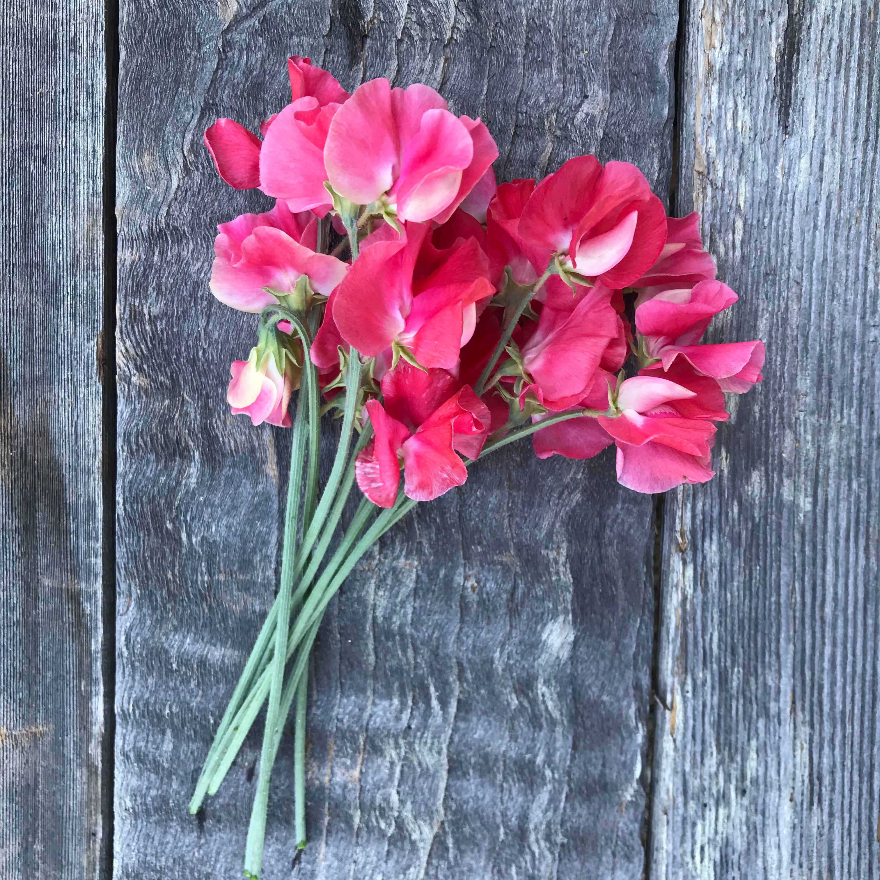 Happy Birthday Sweet Pea Flower Bouquet