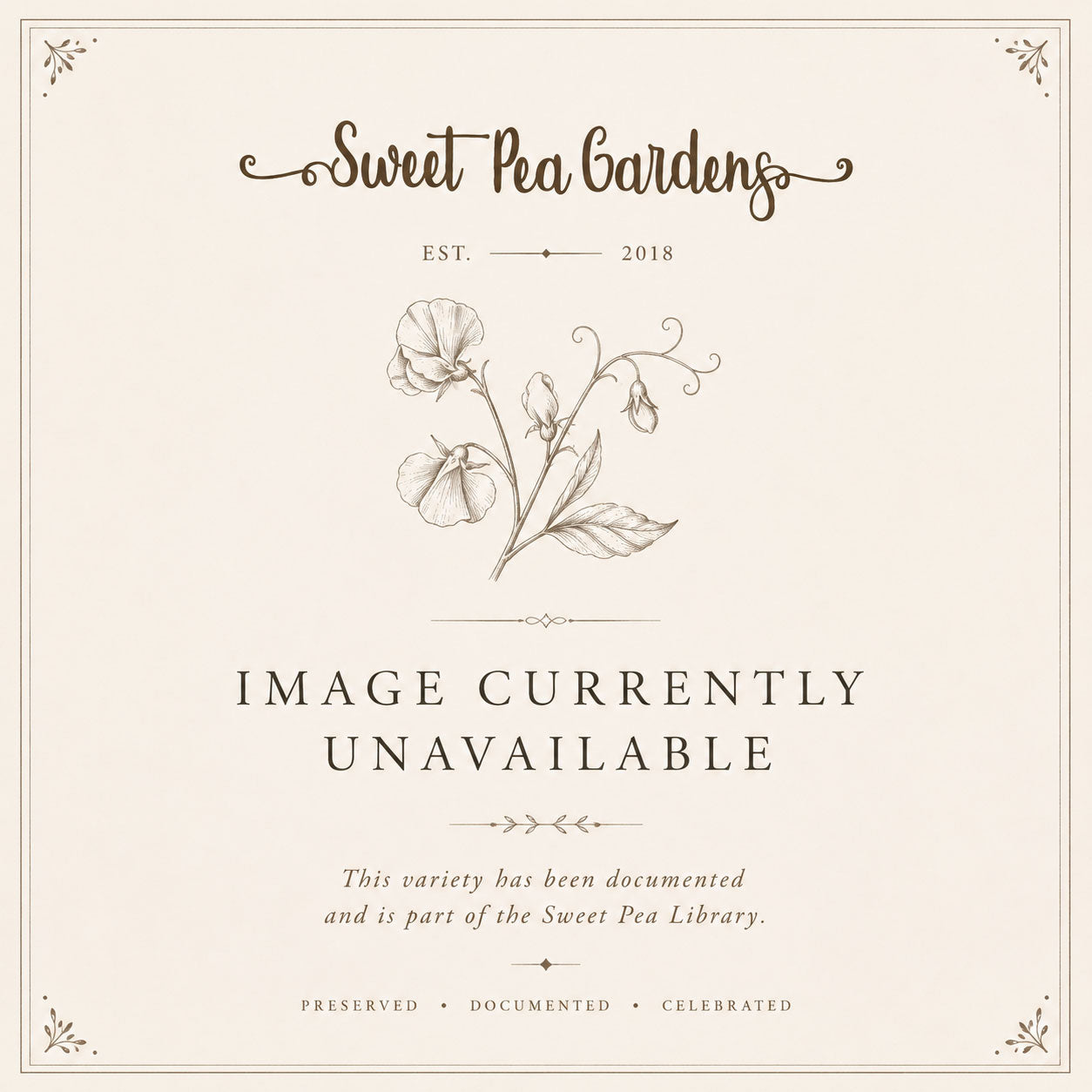 Sweet Pea Variety Library archival placeholder image