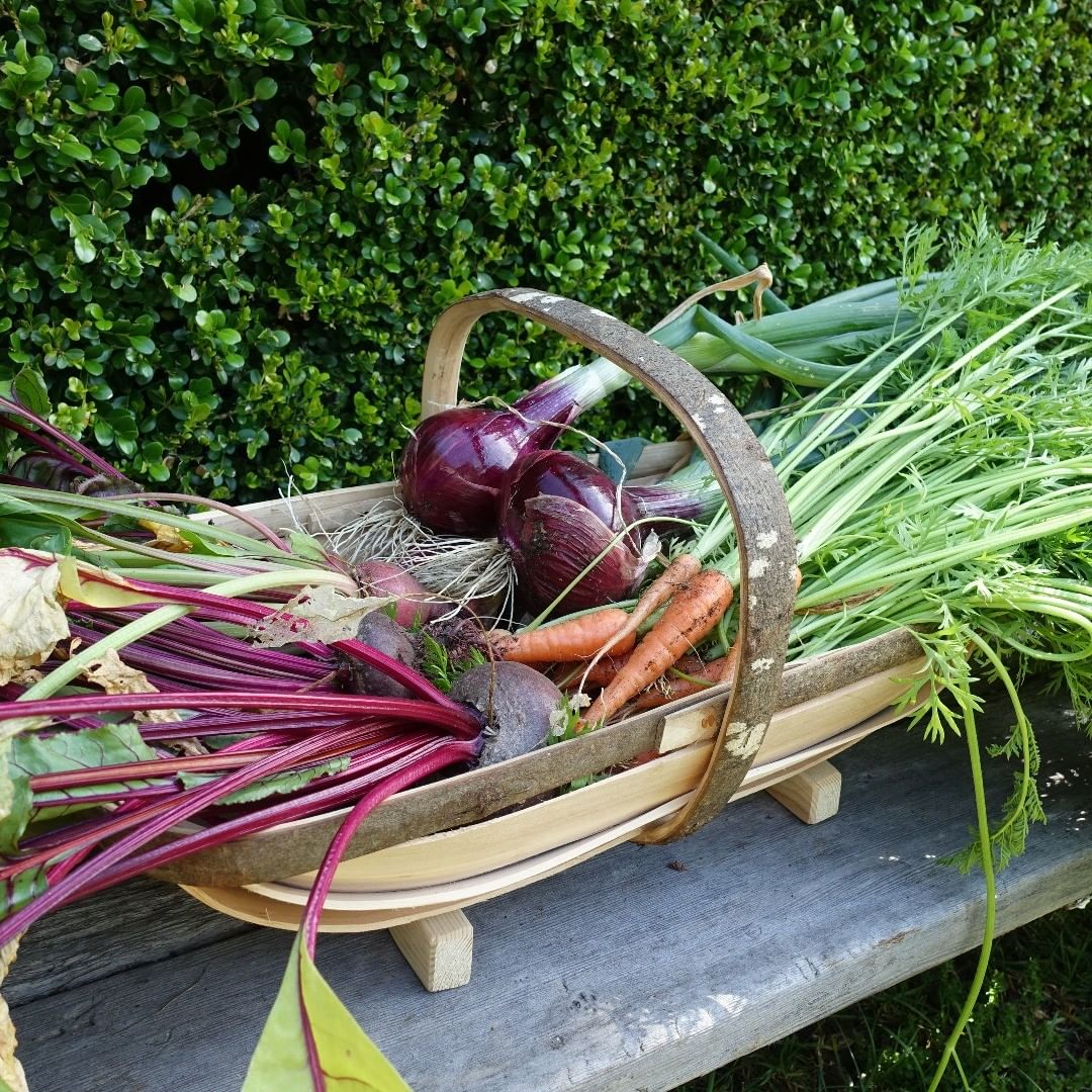 Growing a small vegetable consultation