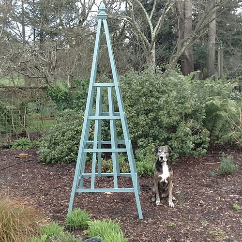 DIY Garden Obelisk